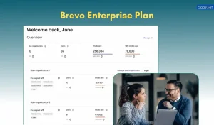 Brevo Email Marketing Pricing