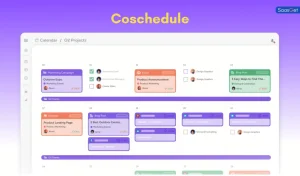 Top 5 Social Media Management Tools: Boost Your Strategy