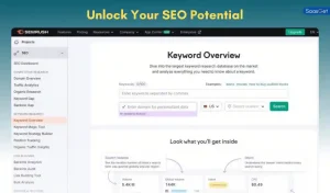 Unlock Your SEO Potential