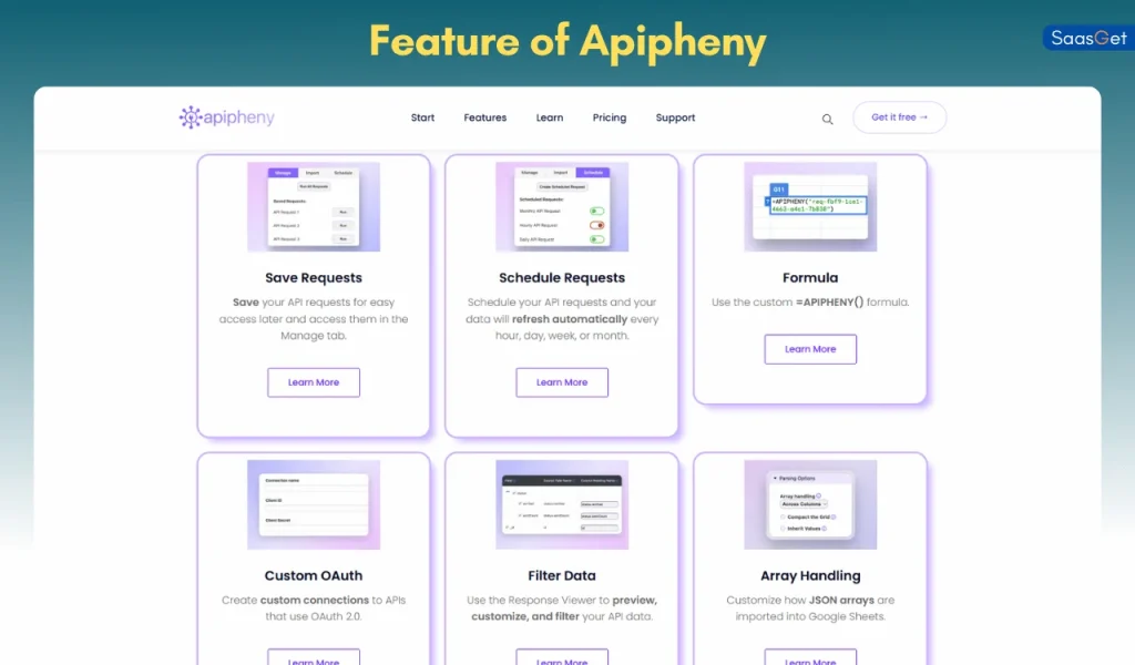 Feature of Apipheny